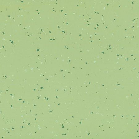 HG 114 - Dill