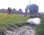 kiefer-video-turf-install