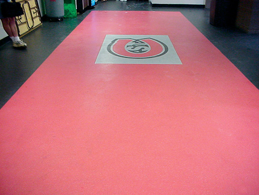 St. Cloud State University - Ice Arena Flooring