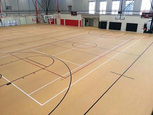 Waubonsee Community College Gym, IL