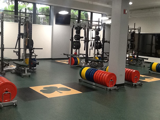 St Patrick Catholic High School Weight Room Flooring