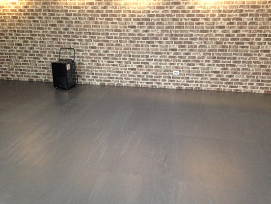 Elmhurst Park District - Group Dance Flooring