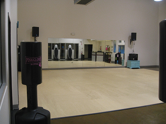 Pavigym - Group Dance Flooring