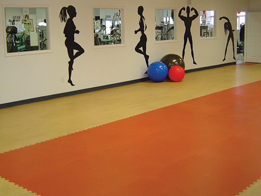 Pavigym - Group Dance Flooring