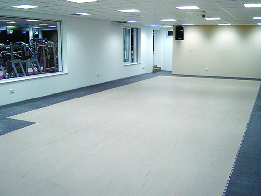 Pavigym - Group Dance Flooring