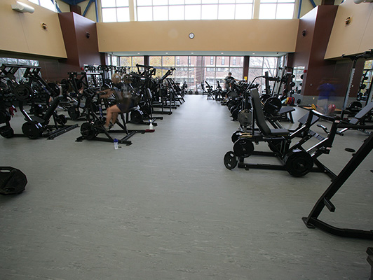 Indiana State Rec Room Flooring