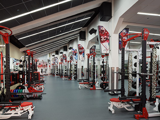 Strength Training Flooring - University WI Madison