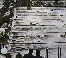1936 olympic swimmer kiefer