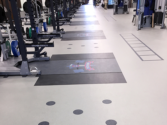 Tennessee Titans Weight Room Flooring