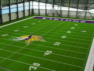 Indoor Practice turf