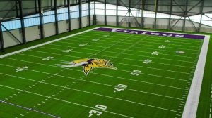 Minnesota Vikings artificial turf field