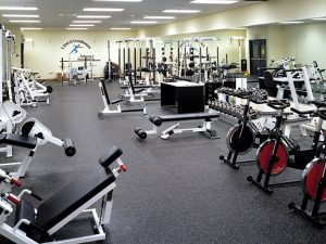 Lanco Performance fitness flooring