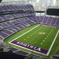 Minnesota Vikings - Artificial Turf Stadium