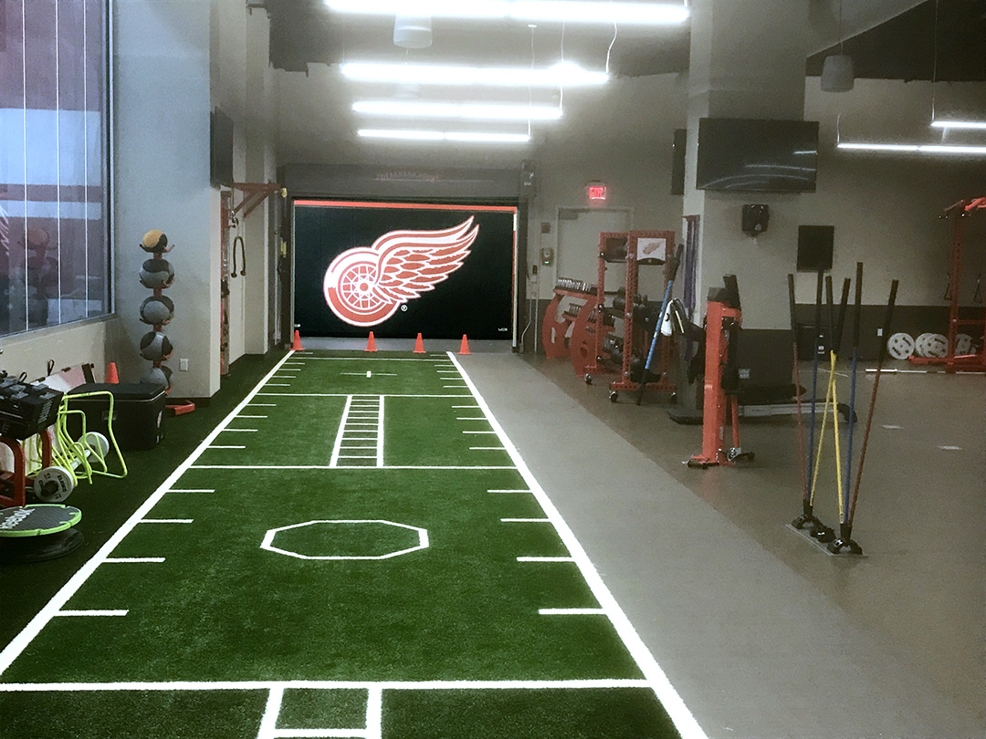 Detroit Red Wings Ice Arena