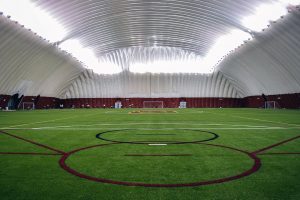 University of Minnesota artificial turf