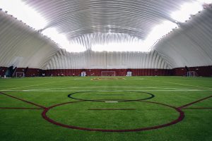 University of Minnesota artificial turf