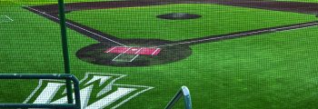 Illinois Wesleyan University baseball turf