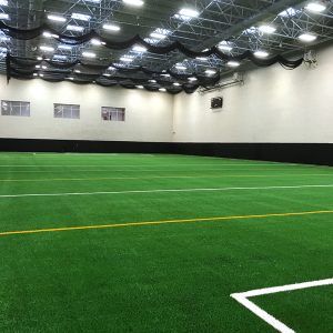 Multi-Purpose Turf