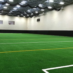 Indoor Artificial Turf
