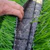 FTS Pad turf FTS Pad turf