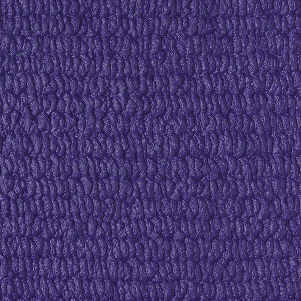 SSX_P115_Purple
