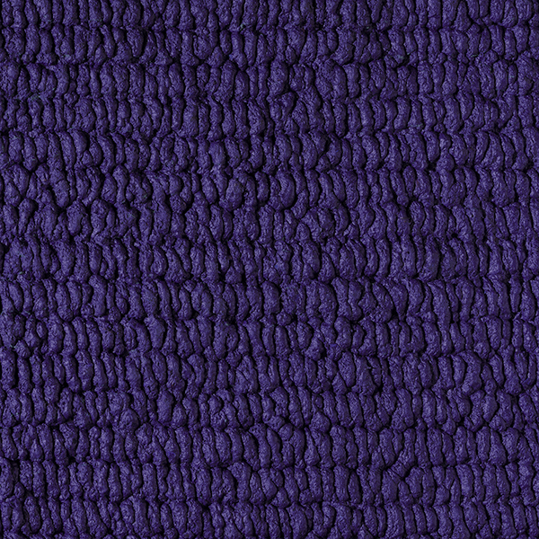 SSX_P124_Plum
