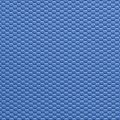 FitZone Mat Blue 010