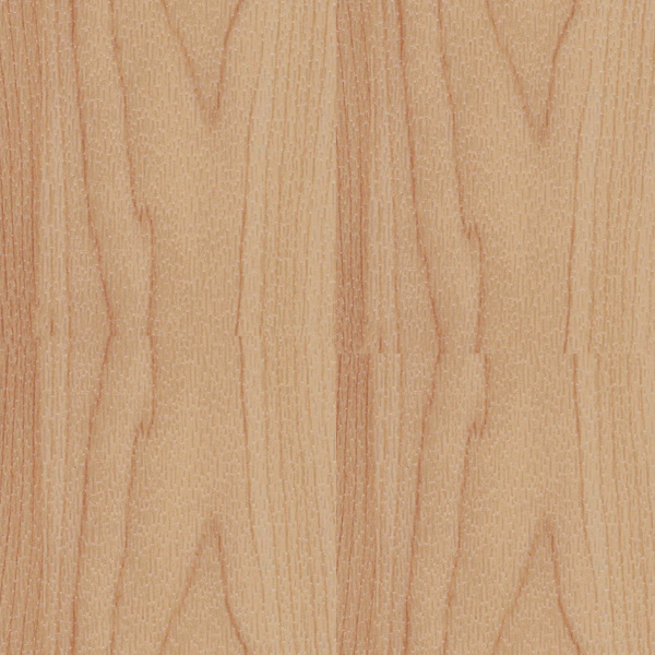 Kiefer ActivePlay sports flooring