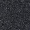 Charcoal CourtGuard Lite