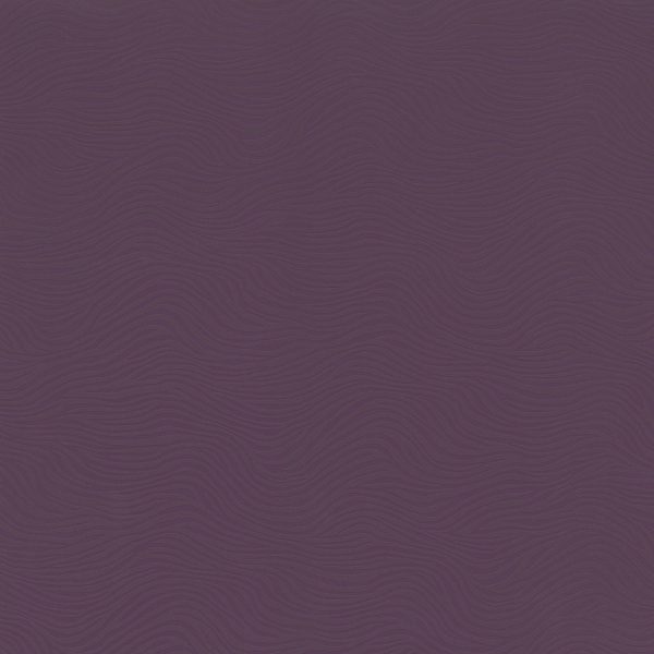 Mondo Valor weight room flooring
