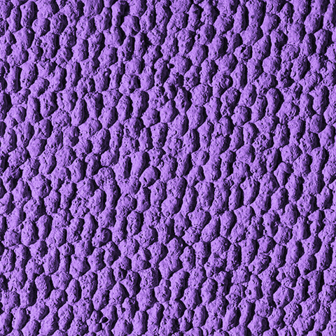 P132 Purple Mondotrack EI