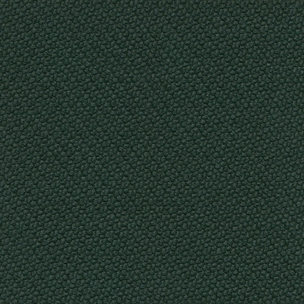 P14 Dark Green Mondotrack EI