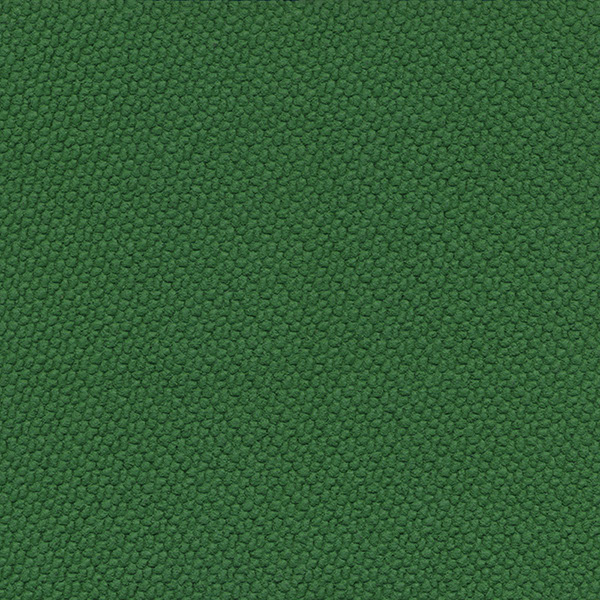 P10 Green Mondotrack EI