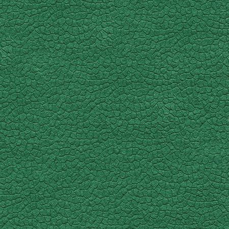 P10 GREEN Mondo Sportflex M