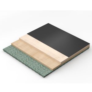 FitZone Studio Pro I wood sports flooring